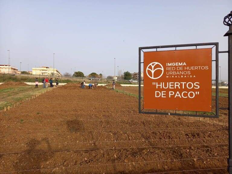 DESCUBRIENDO HUERTOS: Los «Huertos de Paco» se suman a la red de huertos urbanos de Córdoba